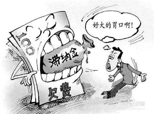 補繳社保滯納金怎么算？ 第1張